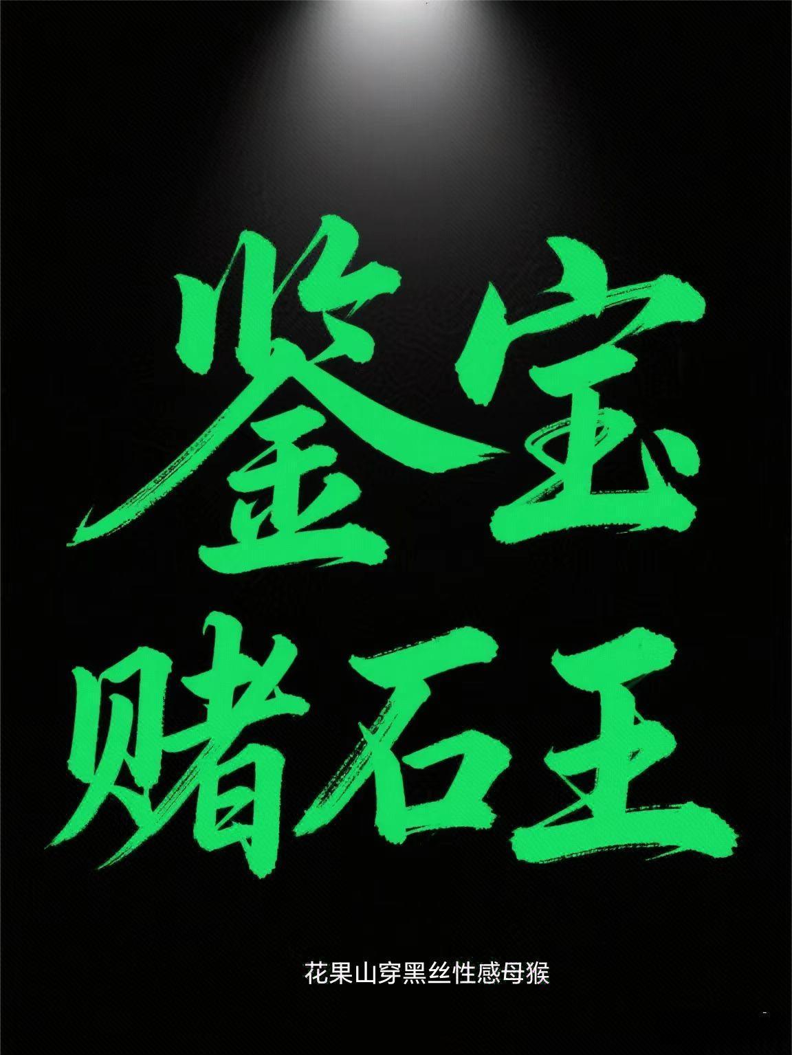 赌石鉴宝王全文免费